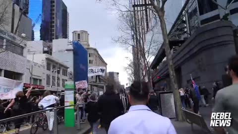 FREE AUSTRALIA - The world needs to witness what police did in Melbourne