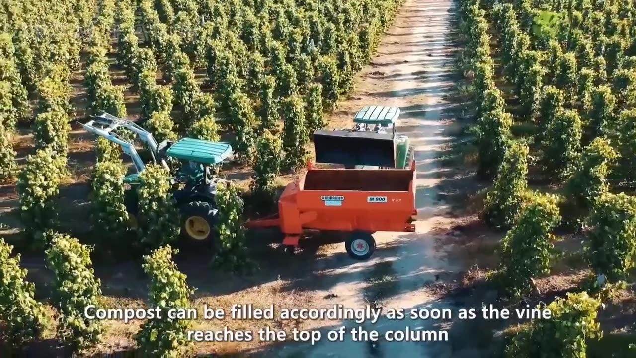 SPICES Making Process From Black Pepper, Turmeric, Chilli in Factory - Black Pepper Cultivation