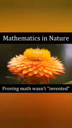 MATHEMATICS IN NATURE (Proving math wasn't "invented")