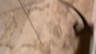 Monkey Bounds Around Bathtub