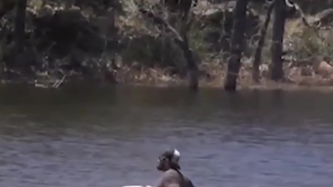 #Merica