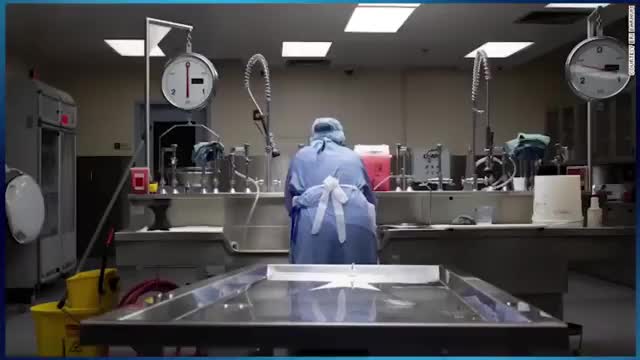 Dr Peterson Pierre, M.D. - Pharmaceutical Industrial Complex - (Re-Upload)