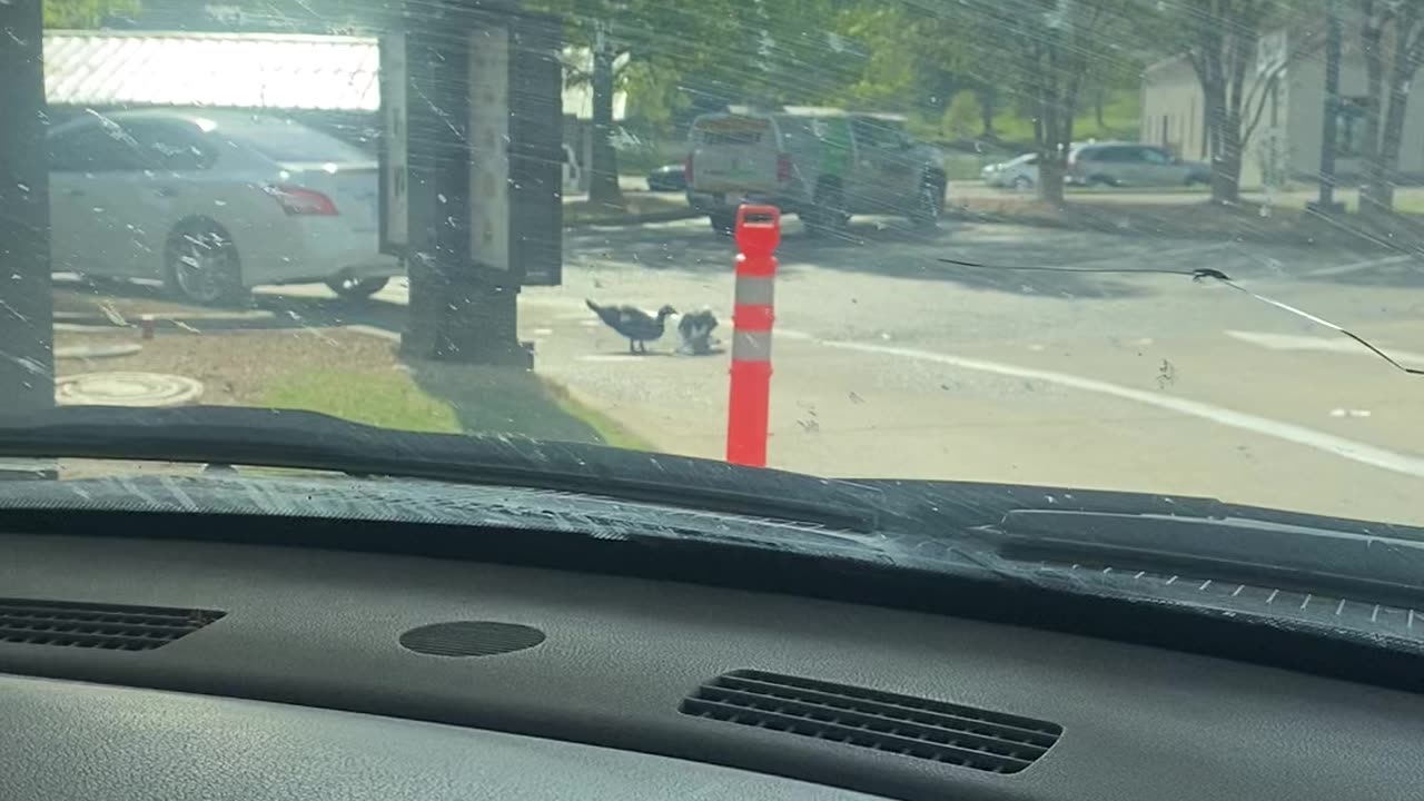 He was Getting jumped by 2 others