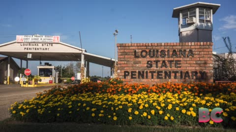 Louisiana becomes first state to allow surgical castration as punishment for child molesters