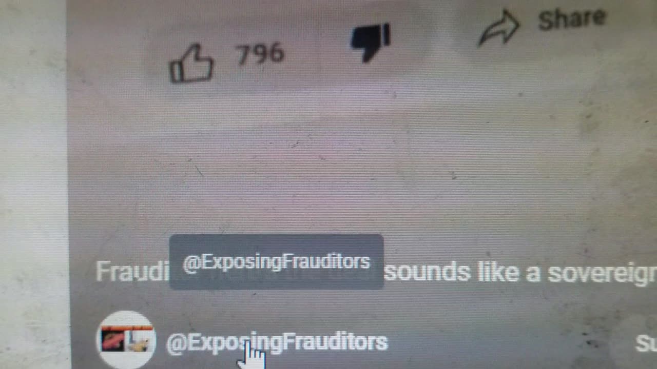 A Frauditor Pro Cop Loving Channel that Backs the Blue 👎👎👎👮♂️