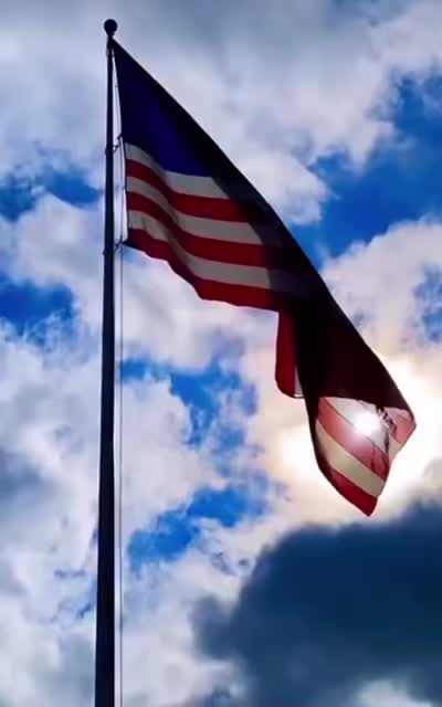 I Would Die For It! Would you?