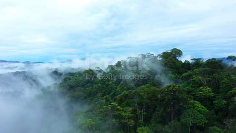 Natural View Fog in World