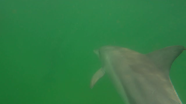 Byron Bay Barrels POV Tubes Raw