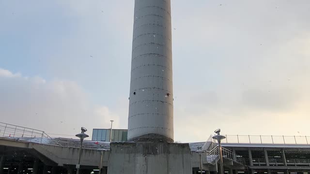 Cheongju Tobacco Factory Chimney Falling Snow