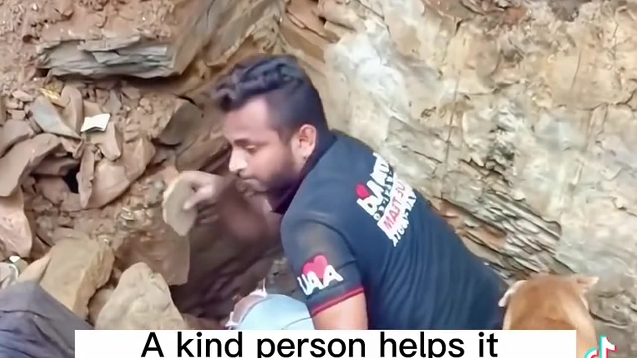 Be Kind