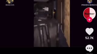 Andrew Tate arrested!!!