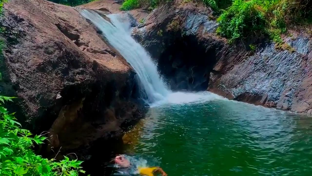 Nadukani Estate: A Glimpse of Wayanad's Natural Beauty 🌿🌄