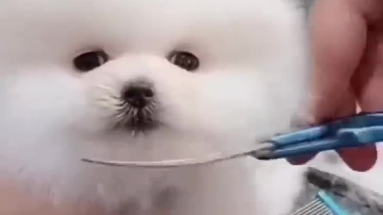 cutie having shave!!