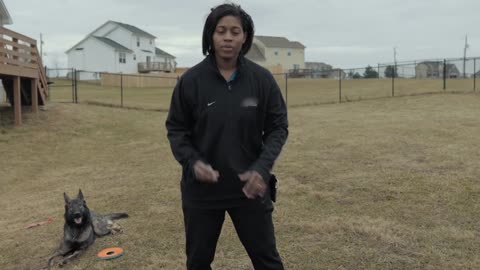 How to Edit Dog Training video for rumble