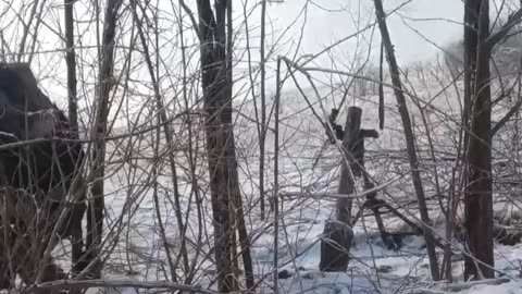 Combat work of crews of the Tray mortar against Ukrainian targets