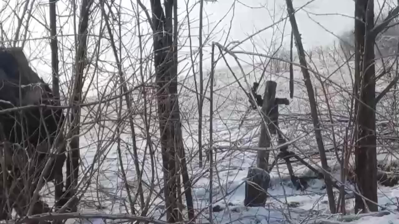 Combat work of crews of the Tray mortar against Ukrainian targets