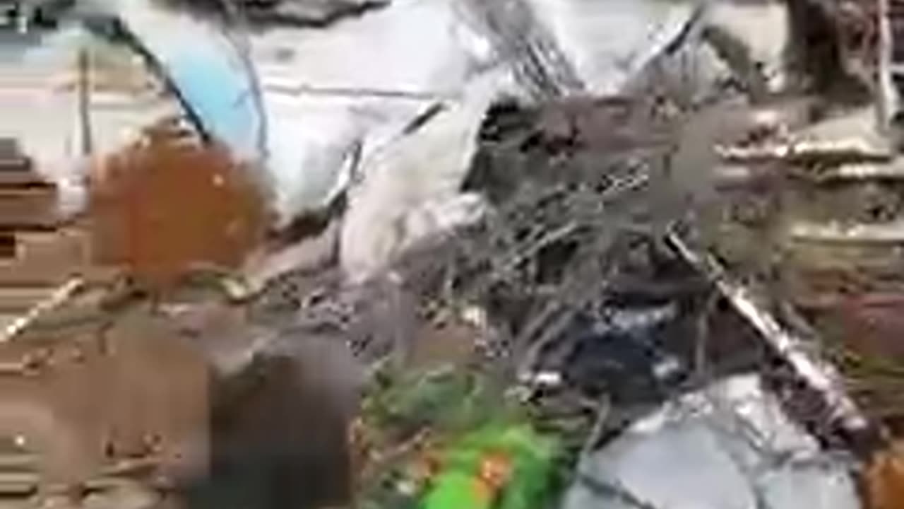 earn a living from the rest of the junk