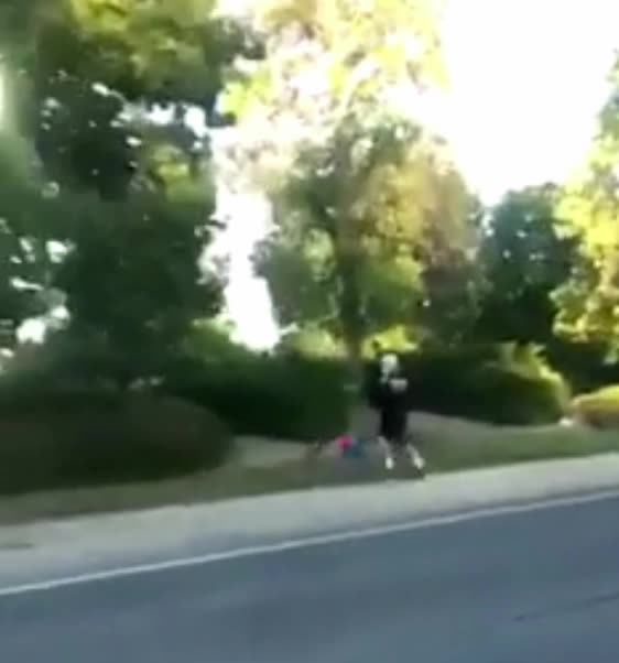 He Walks with the Birds...