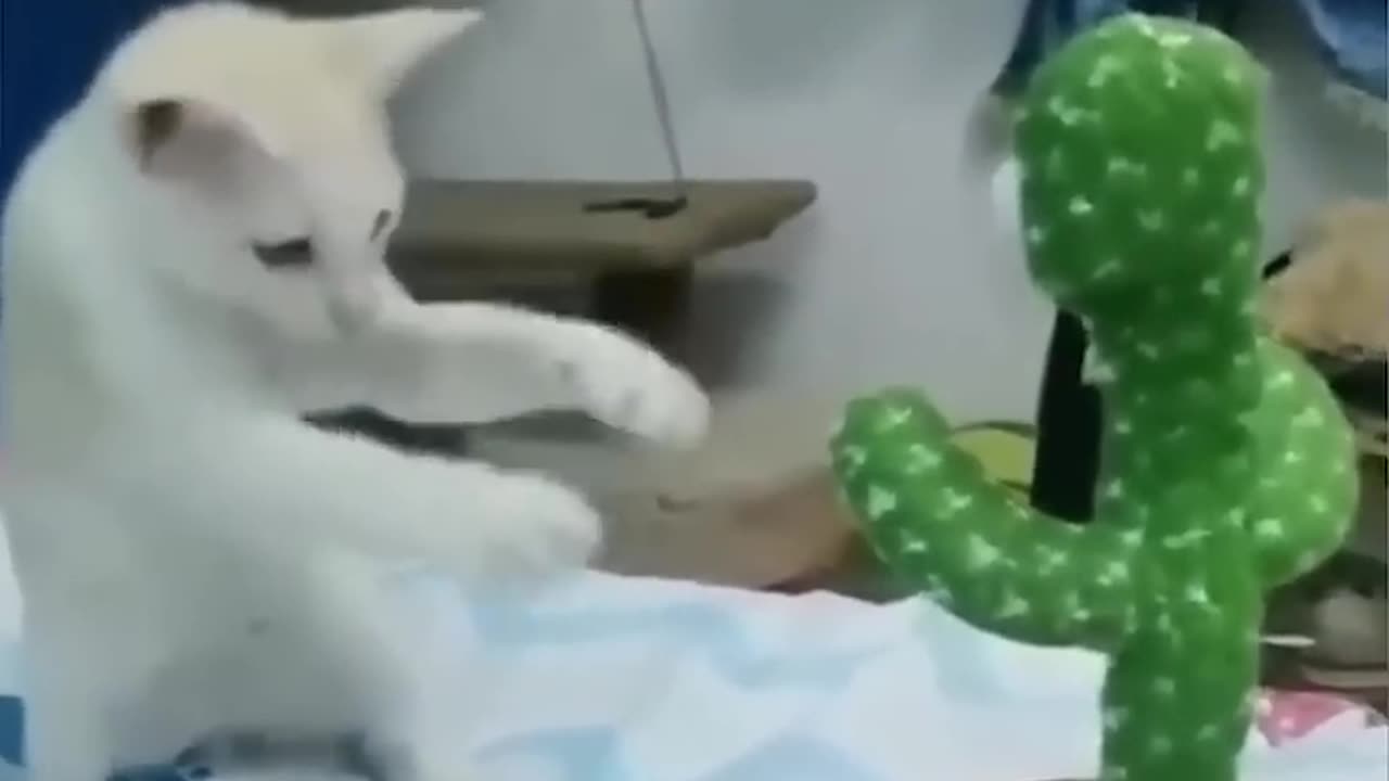 funny animal video 😂🐈🤣😂