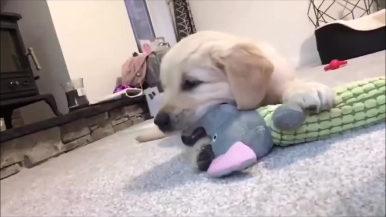 Episode 9 - Cannot stop laughing