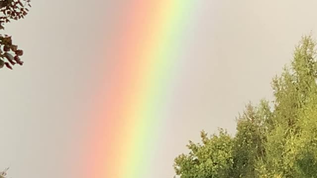 Super Rainbow