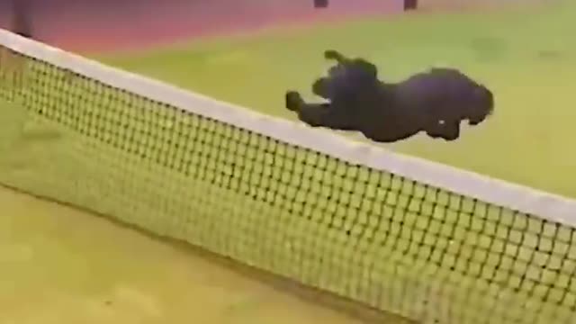 Laughter and laughter