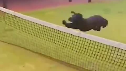 Laughter and laughter