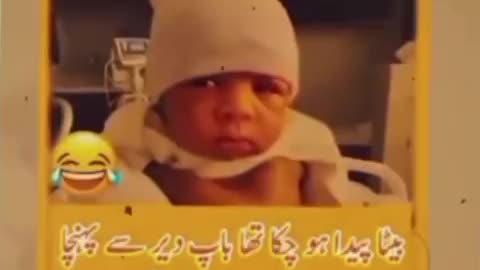 Angry Baby😹😹