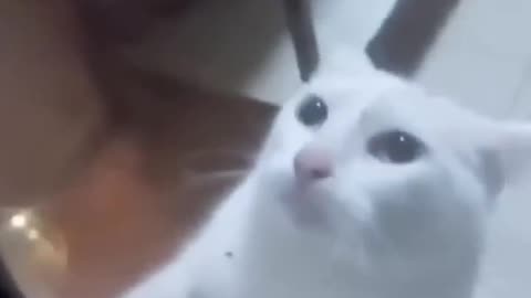 He wasn't up to the task