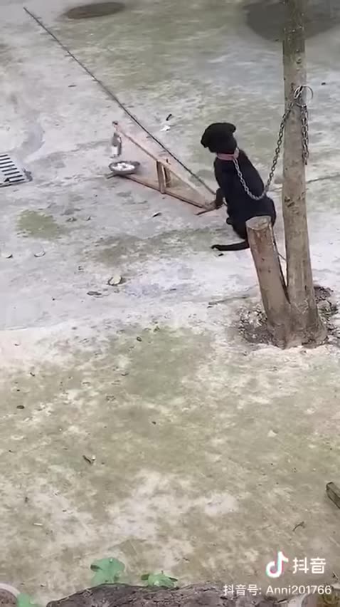 It's time for dinner