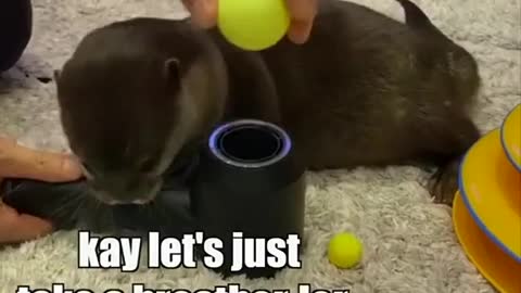 So cute