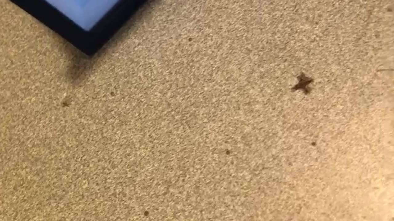 EPU EXCELLENCE ******EARTH ENERGY PUMPING DEVICE****** 3000$ completed unit