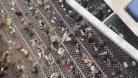 considered it highway