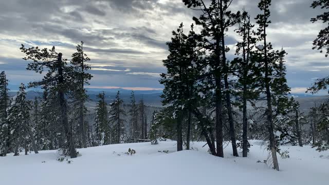 Top Zone of Summit – Central Oregon – Vista Butte Sno-Park – 4K