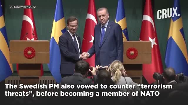 Russia Ukraine War | Turkey President Erdogan Demands "Concrete Steps" To Support Sweden's NATO Bid