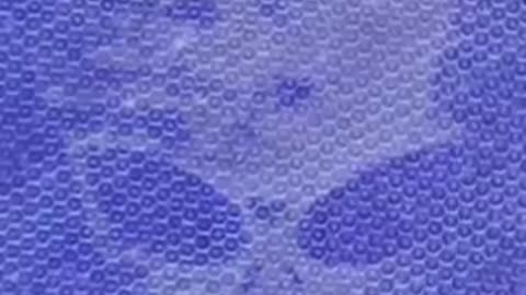 Alien faces👽👀 found on the new $100USD💵 Federal Reserve note using a microscope! Kind of CREEPY!