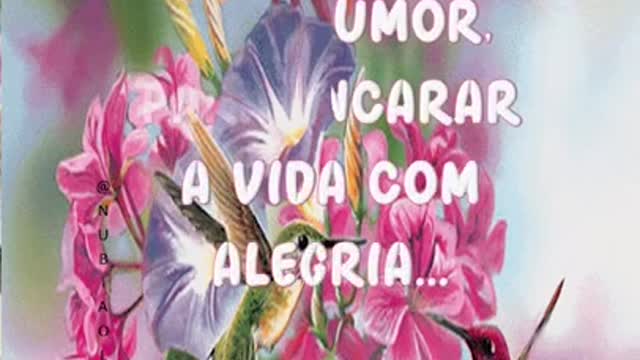 Bom dia 🌼