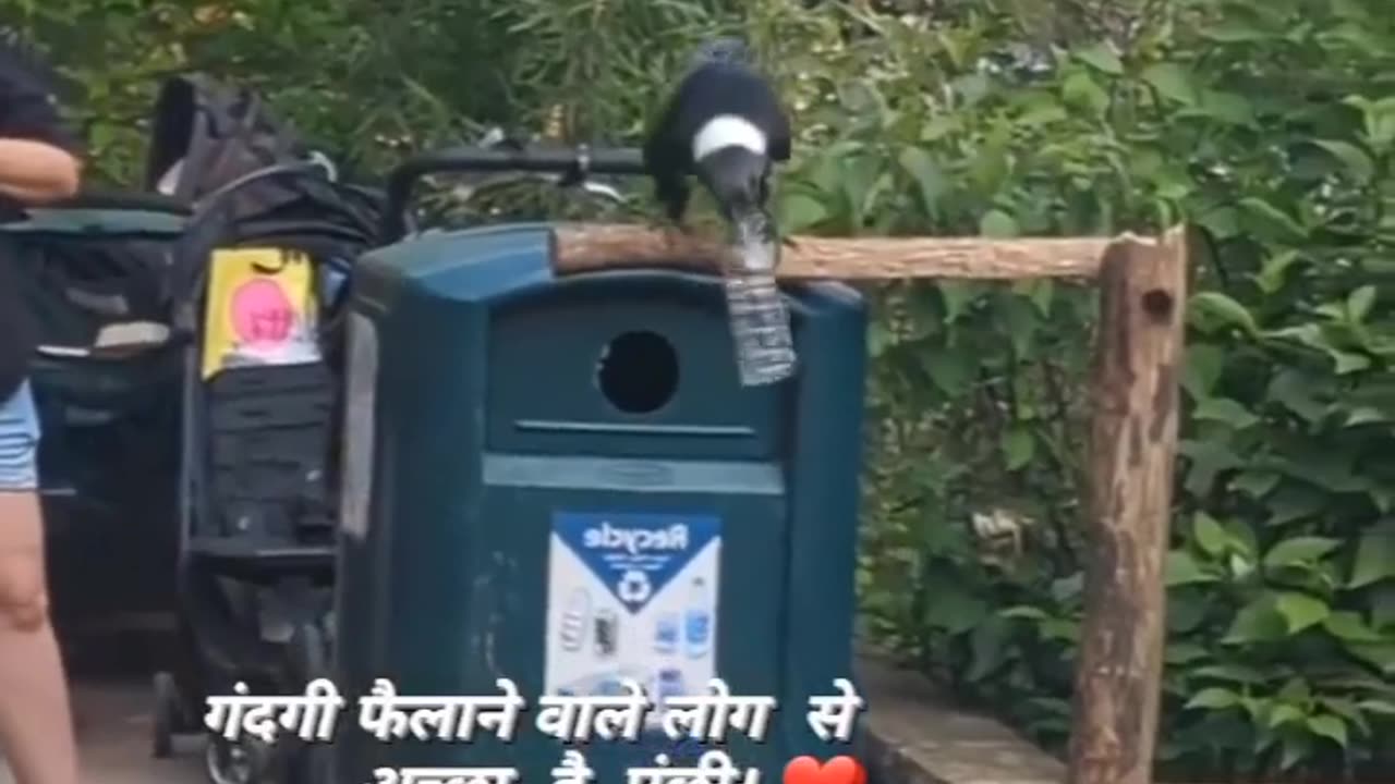 Chidiya ne dospir Mein Kaise Botal Dala