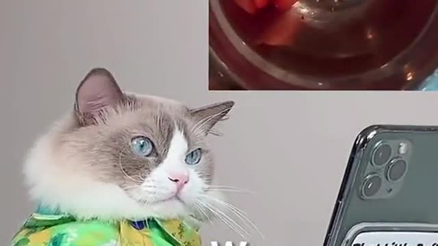 Hey Puff, no cursing!