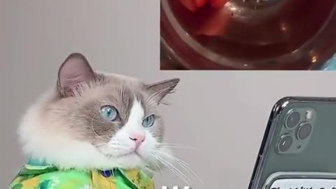 Hey Puff, no cursing!