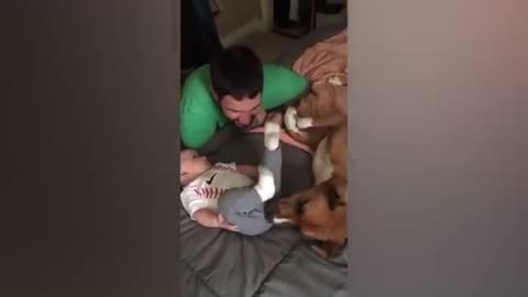 funny dogs and babies 😅😅