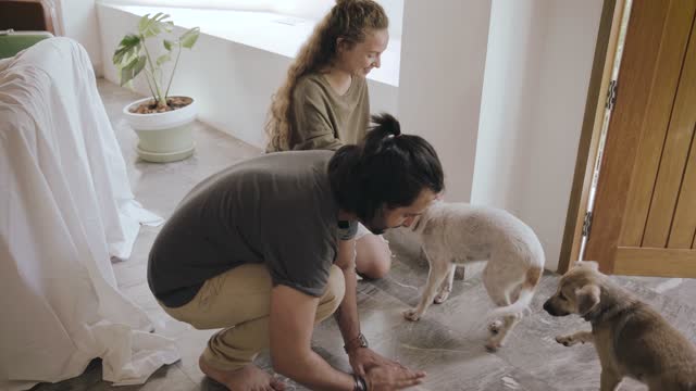 A man and his wife play with dogs