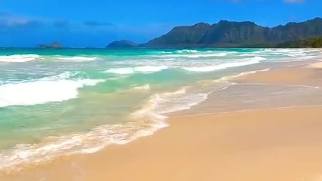 Go to see the sea together