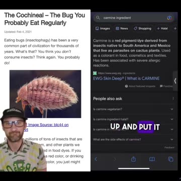 Have they Tricked Us Into Eating Bugs For Awhile Now???