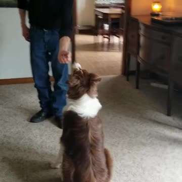 Great class with Forrest shaping the drop cue pt1