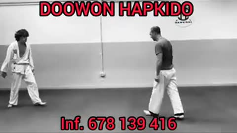 Hapkido