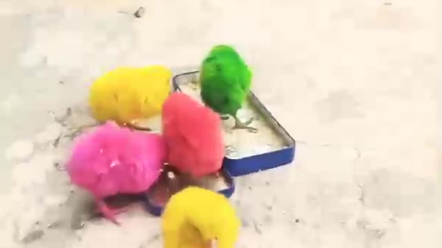 Beautiful. videos
