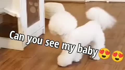 Cutest dong in the world