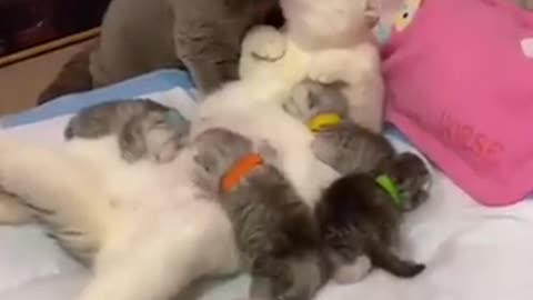 More love