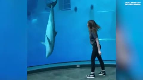 Dolphin Flips With Cartwheeling Woman At Indianapolis Zoo_Cut